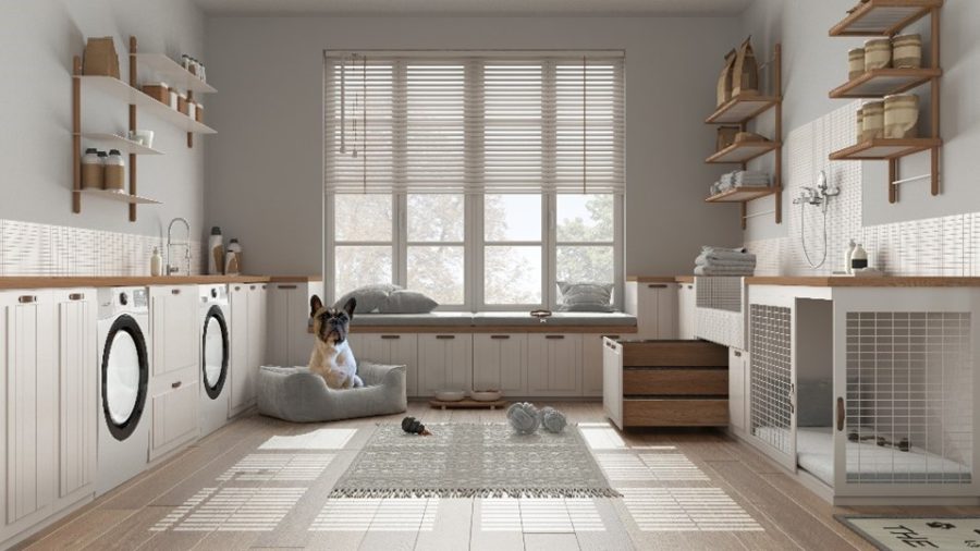 Image of customized laundry/dog room.